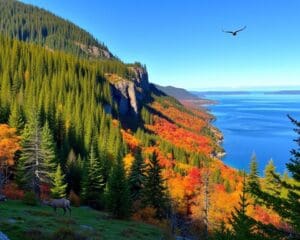 Naturerlebnisse im Pukaskwa-Nationalpark, Ontario