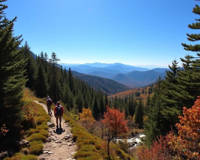 Wandern auf dem Appalachian Trail, USA