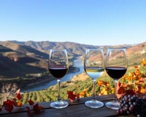 Weinproben im Douro-Tal, Portugal