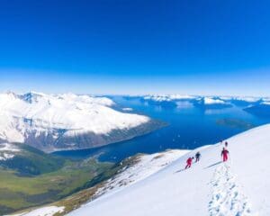 Lyngen Alpen: Skitouren mit Meerblick und Segelabenteuer