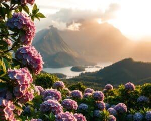 Was macht die Azoren einzigartig?