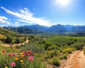 Wie entdeckst du Andalusien landschaftlich vielfältig?