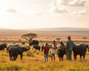 Wie erlebt man Safari in Kenia nachhaltig?