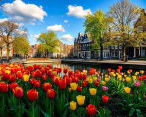 Wie wirkt Amsterdam im Frühling auf Besucher?