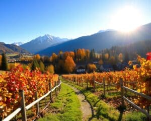 Wie entdeckt man Südtirol im Herbst?